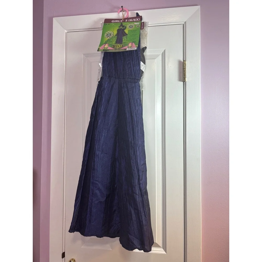 Disguise this elphaba